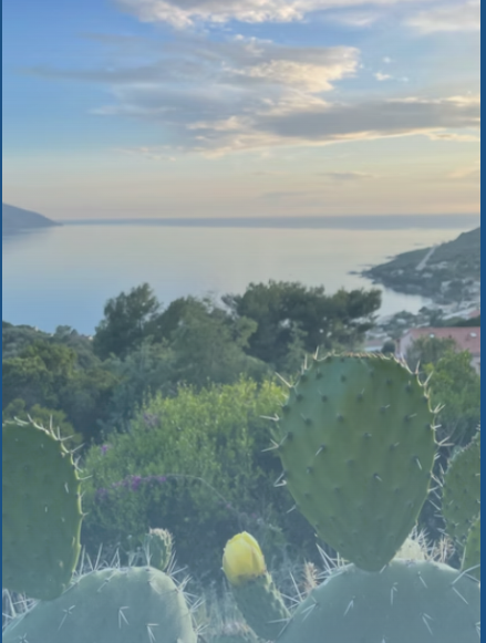 Paysage de Corse